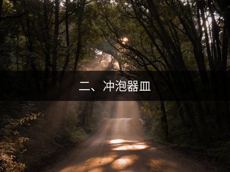 二、沖泡器皿