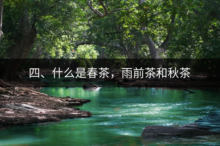四、什么是春茶，雨前茶和秋茶