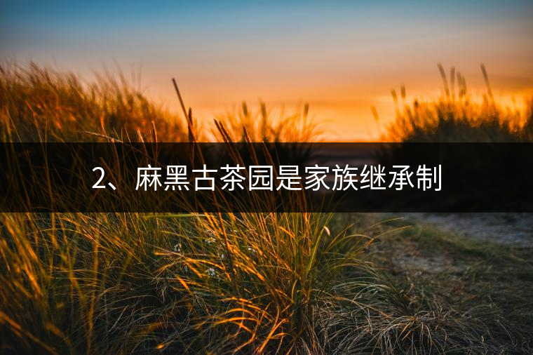 2、麻黑古茶園是家族繼承制