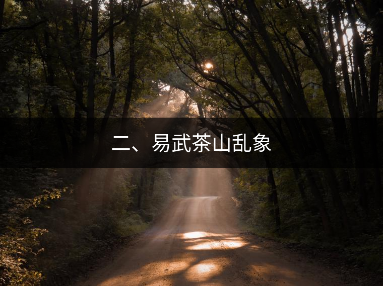 二、易武茶山亂象