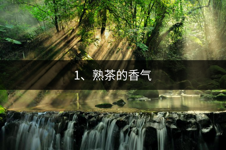 1、熟茶的香氣