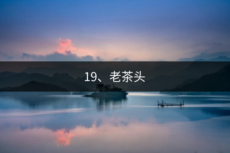 19、老茶頭