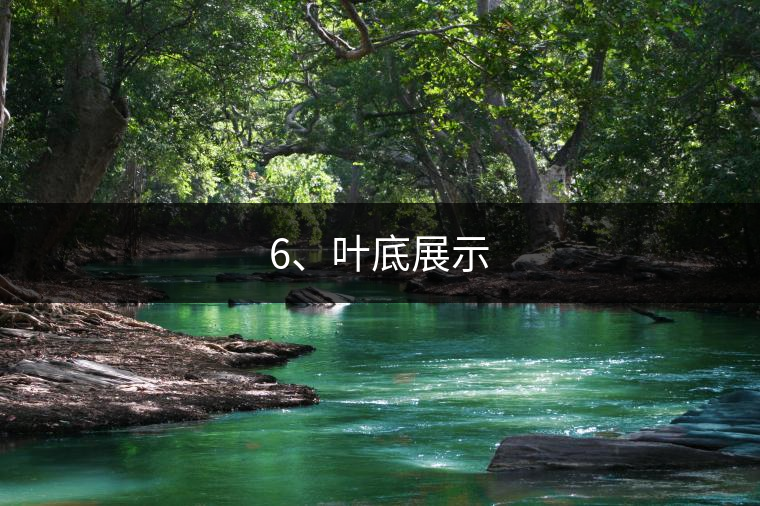 6、葉底展示