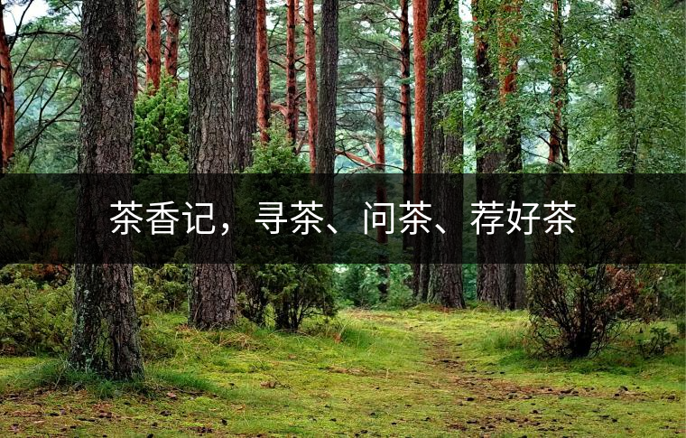 茶香記，尋茶、問茶、薦好茶