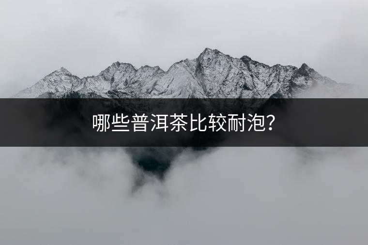 哪些普洱茶比較耐泡？