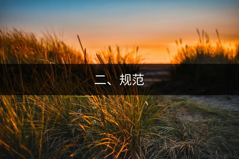 二、規(guī)范