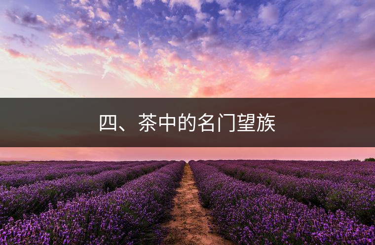 四、茶中的名門望族
