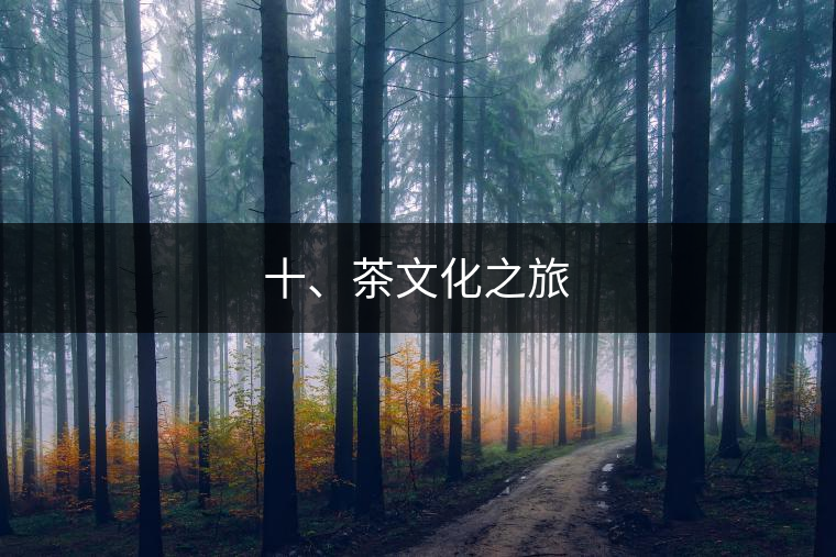 十、茶文化之旅