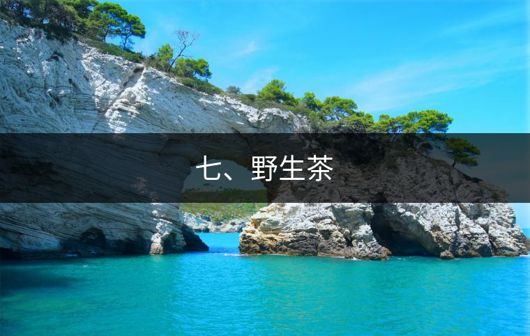 七、野生茶