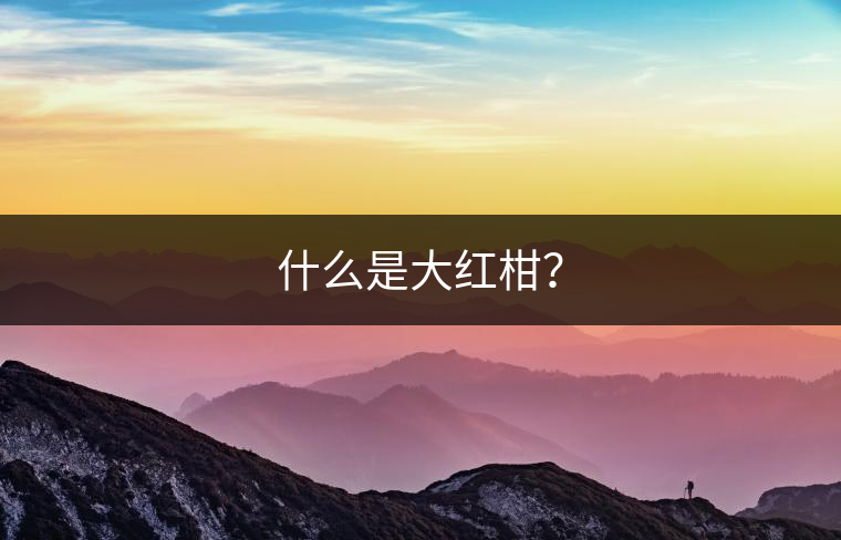 什么是大紅柑？
