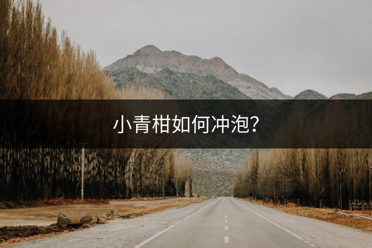 小青柑如何沖泡？