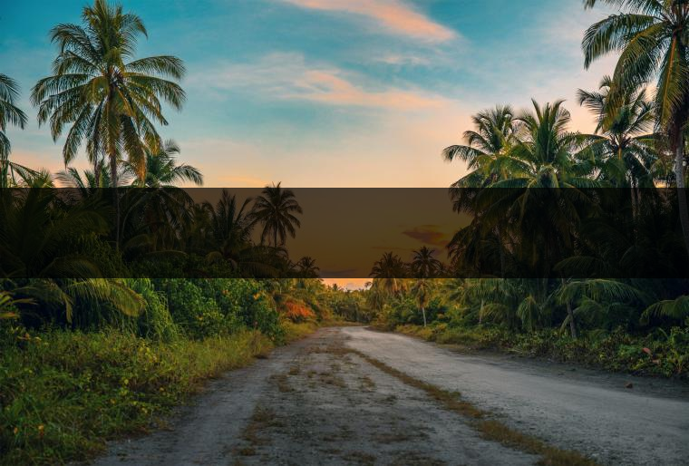 俊仲號(hào)2016年丙申猴年生肖?<p><img decoding= ?