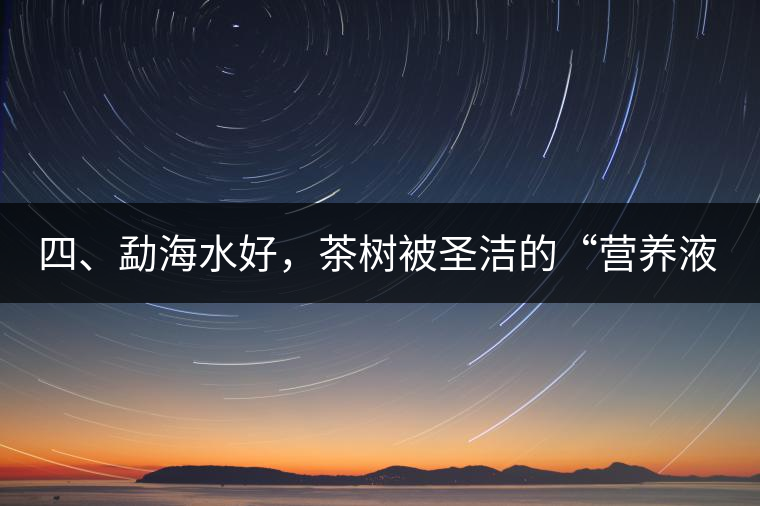 四、勐海水好，茶樹被圣潔的“營(yíng)養(yǎng)液”所滋養(yǎng)