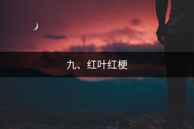 九、紅葉紅梗