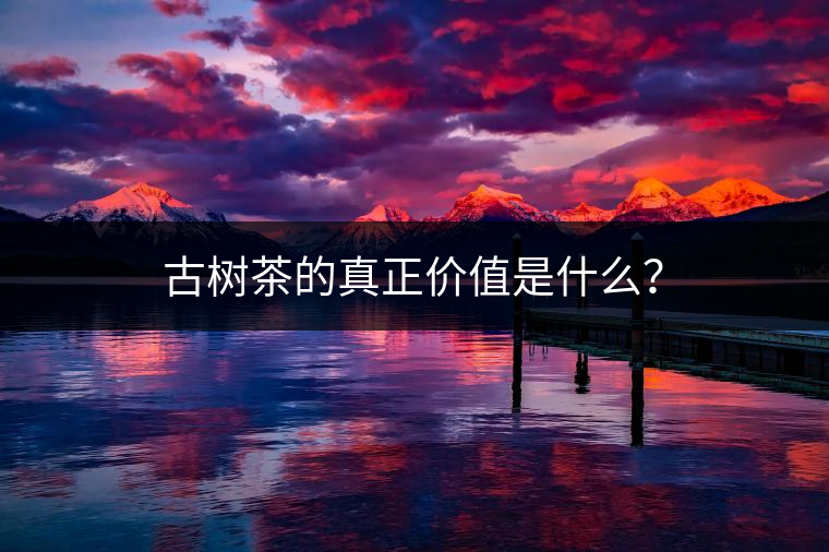 古樹茶的真正價值是什么？