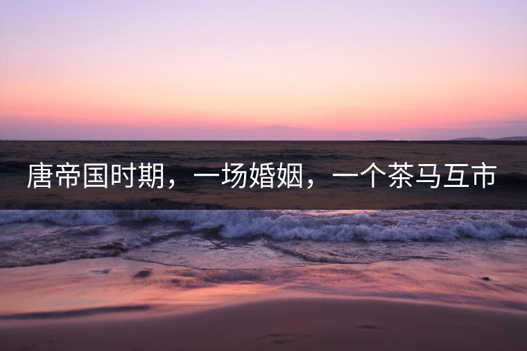 唐帝國時(shí)期，一場(chǎng)婚姻，一個(gè)茶馬互市，讓這里結(jié)束了漢藏對(duì)峙。宋代南茶北，西北茶馬司設(shè)立，因茶而改變的生活日益凸顯。元代八思巴與忽必烈在這一區(qū)域結(jié)盟，為蒙藏兩大民族交往鋪好通衢大道，明代俺答汗與達(dá)賴在山海之間追思各自先人，青海人宗喀巴創(chuàng)建的黃教通過蒙、藏兩大領(lǐng)袖的推廣，締造了影響至今的格局。大清經(jīng)過康、雍、乾三代勵(lì)精圖治，滿、藏、蒙各自龐大的疆域第一次完整地統(tǒng)轄在中央帝國的版圖下。