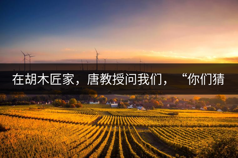 在胡木匠家，唐教授問我們，“你們猜猜他們家的茶放在哪里？”我們回答廚房、客廳都不對(duì)，“難道像寺院一樣，有專門的茶房不成？”教授和木匠都哈哈大笑，連連搖頭。在木匠的帶領(lǐng)下，我們來到主人的臥室，茶磚整齊有序地堆放在床頭柜里。一家之主的臥室，既是休息之所，亦是一家財(cái)富與傳家寶的收藏地。茶之精貴，毋需多言。