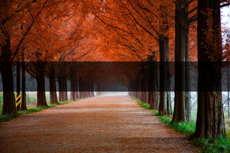 這樣的茶葉邊疆文化，也許是明代大學(xué)者解縉最樂意見到的。他曾說，中原最好的東西就是茶，而番人最好的就是馬。他贊同明廷茶馬互市的國策：茶之于夷人，如同中國之酒醴，因?yàn)椴桉R貿(mào)易，許多夷人也開始學(xué)習(xí)中國的知識(shí)，對(duì)中國也有了向慕之心，那么茶的作用就很顯然，茶有著“夷夏之交，義利之辨，寅賓尚忠信而篤敬，河州固唐虞三代之邦也?！?茶不僅僅是一種飲品，還有其他。茶作為媒介，體現(xiàn)了觀念的變化。如今，隨著茶的傳播，各族人民有了更深入往來，通過貿(mào)易、文化、旅游等等。
陳渠珍從西藏抵達(dá)湟源區(qū)域時(shí)，也為這里的古風(fēng)所震驚：“余皆漢番雜處。風(fēng)俗婦女尚餞足，裙下蓮步不及三寸，服飾既古，文化尤卑，鄰居為私塾，當(dāng)見一生久讀不能成誦，塾師罰之跪，以草圈罩頭上，頻加籌石，令其跪誦。余見駭然?！?
?
（摘自《海峽茶道》，2013年5期）