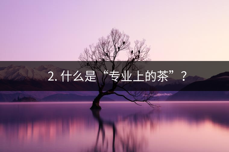 ? 2. 什么是“專業(yè)上的茶”？