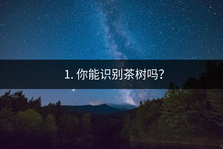 ??1. 你能識(shí)別茶樹嗎？