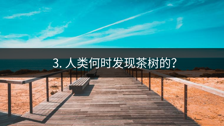 ? 3. 人類何時(shí)發(fā)現(xiàn)茶樹的？