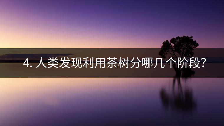 ? 4. 人類發(fā)現(xiàn)利用茶樹分哪幾個(gè)階段？