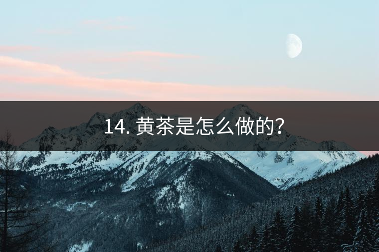 ? 14. 黃茶是怎么做的？