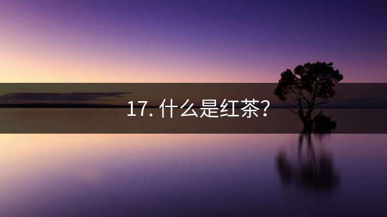 ? 17. 什么是紅茶？
