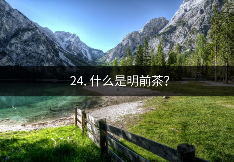 ? 24. 什么是明前茶？