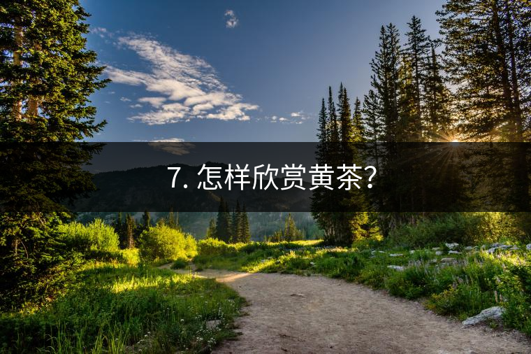 ? 7. 怎樣欣賞黃茶？
