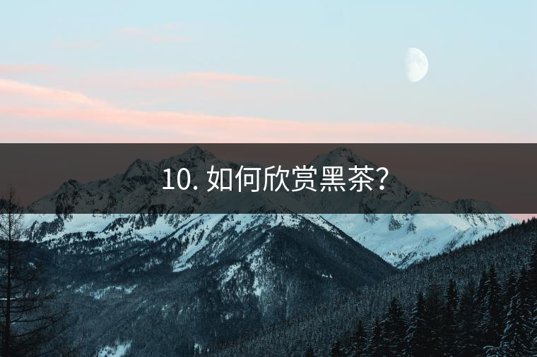 ? 10. 如何欣賞黑茶？