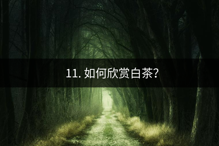 ??11. 如何欣賞白茶？