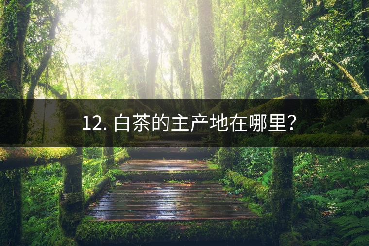 ? 12. 白茶的主產(chǎn)地在哪里？