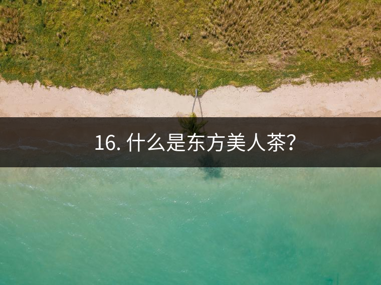 ? 16. 什么是東方美人茶？