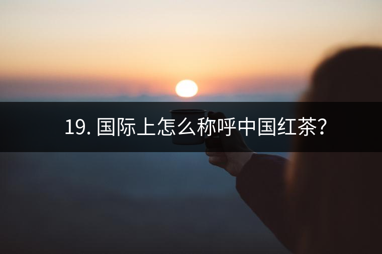 ? 19. 國際上怎么稱呼中國紅茶？