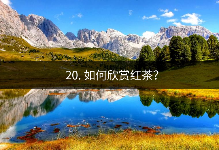 ? 20. 如何欣賞紅茶？