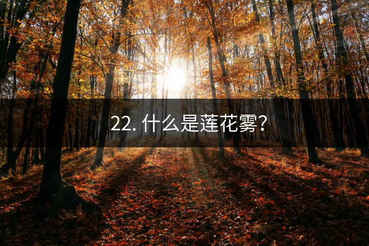 ? 22. 什么是蓮花霧？