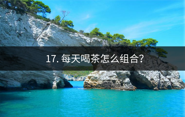 ? 17. 每天喝茶怎么組合？