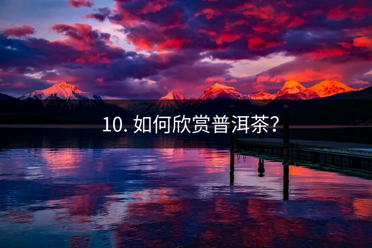 ? 10. 如何欣賞普洱茶？