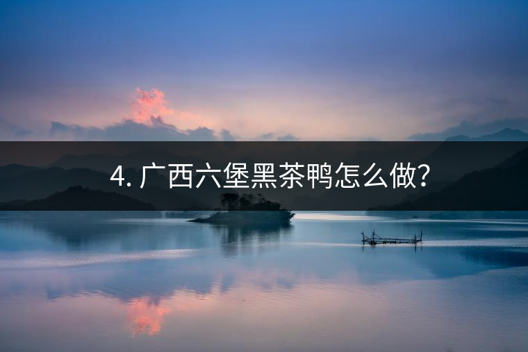 ? 4. 廣西六堡黑茶鴨怎么做？