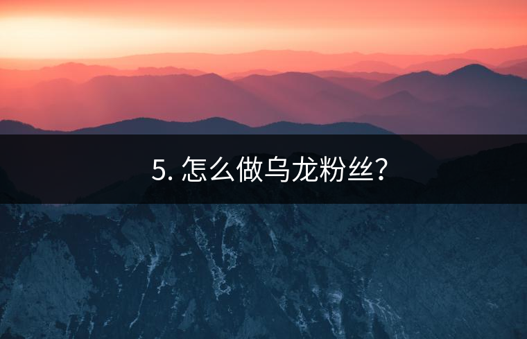 ? 5. 怎么做烏龍粉絲？