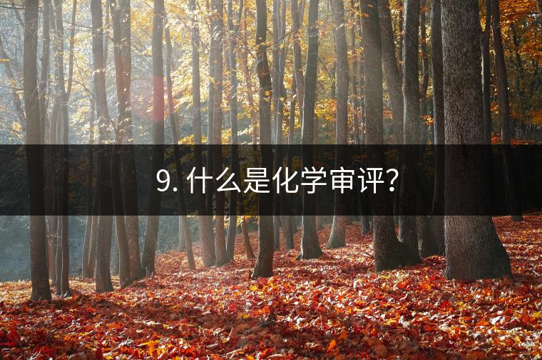 ? 9. 什么是化學(xué)審評(píng)？