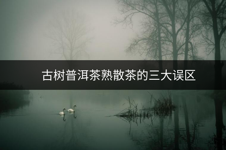 ??? 古樹普洱茶熟散茶的三大誤區(qū)