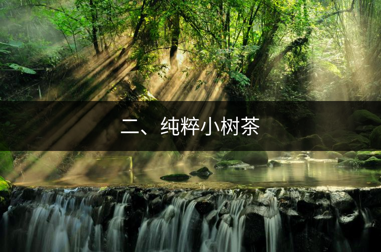 二、純粹小樹茶