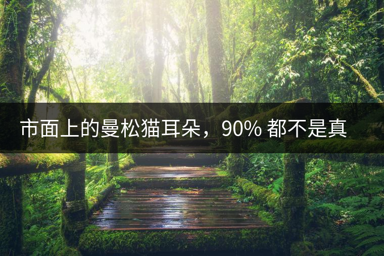 市面上的曼松貓耳朵，90% 都不是真的