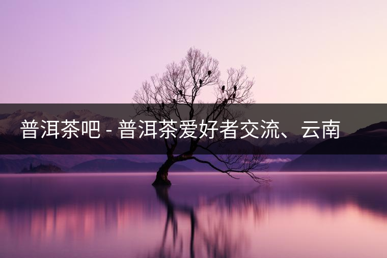 普洱茶吧?– 普洱茶愛好者交流、云南普洱茶網站