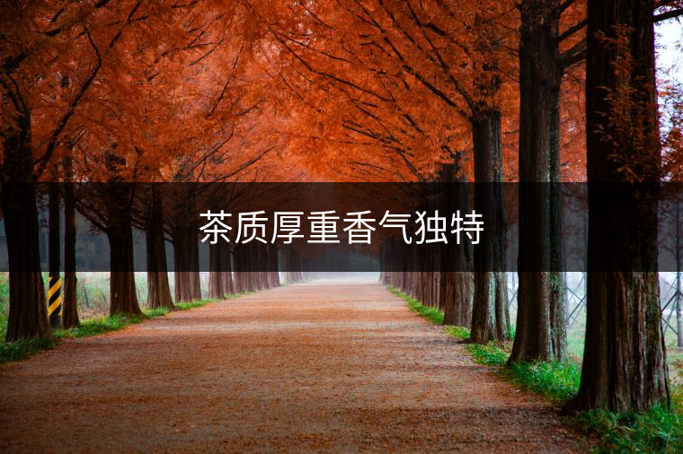 茶質(zhì)厚重香氣獨(dú)特 茶質(zhì)厚重香氣獨(dú)特