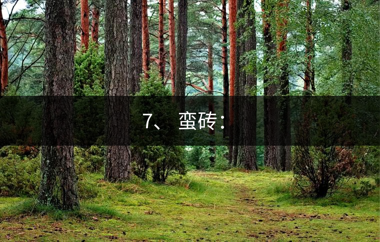 7、 蠻磚：?