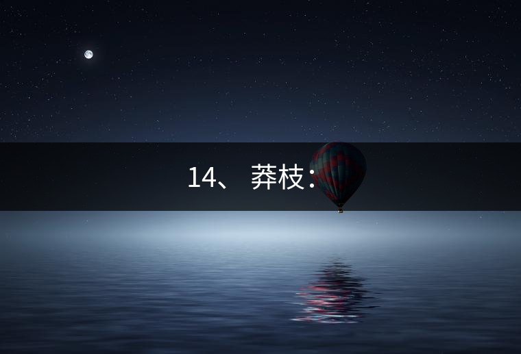 14、 莽枝：?