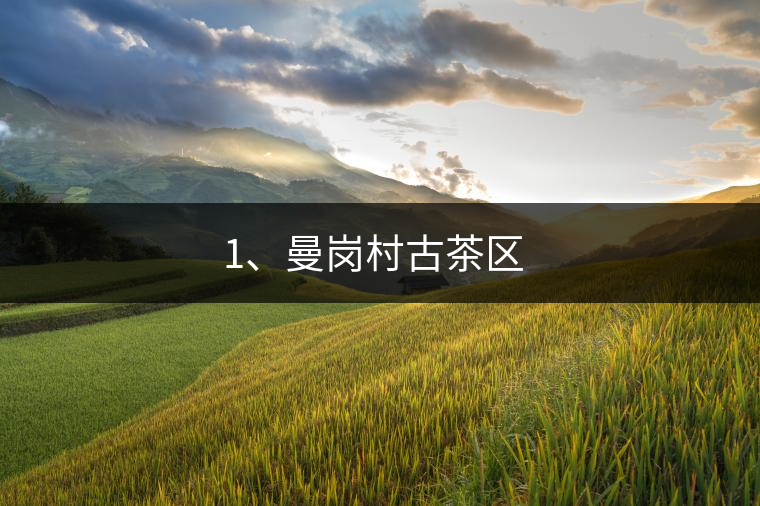 1、曼崗村古茶區(qū) ?